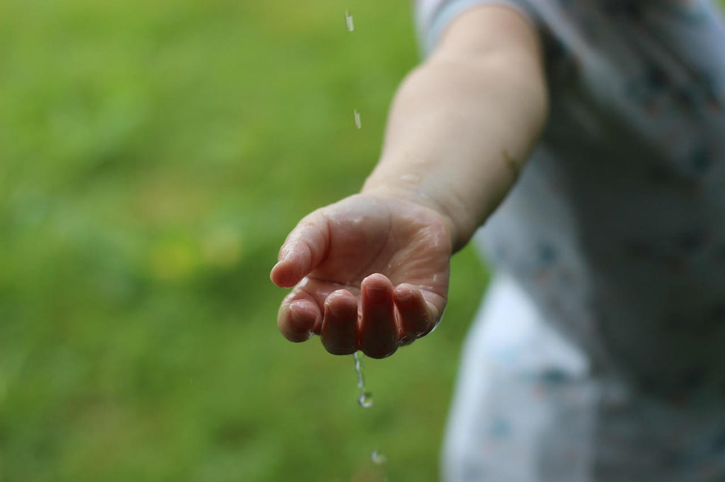 Los 10 Mejores Productos para el Hogar que Ahorran Energía