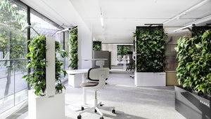 Experiment shows employees make 43% fewer mistakes in the presence of plants and biophilic design