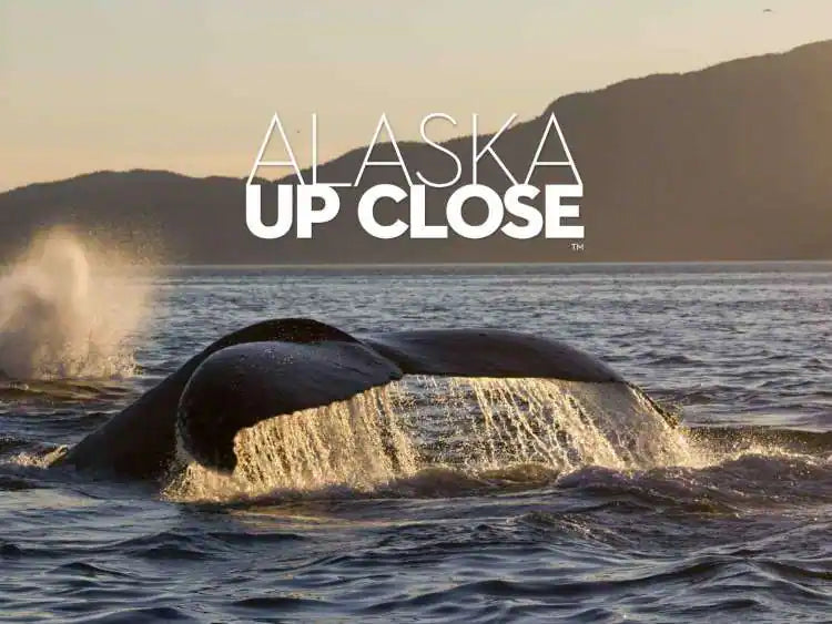 Holland America Line Expands ‘Alaska Up Close’