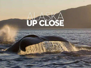 Holland America Line Expands ‘Alaska Up Close’