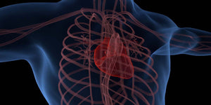 Discovering factors affecting ascending aortic dilatation improves identification of high-risk patients