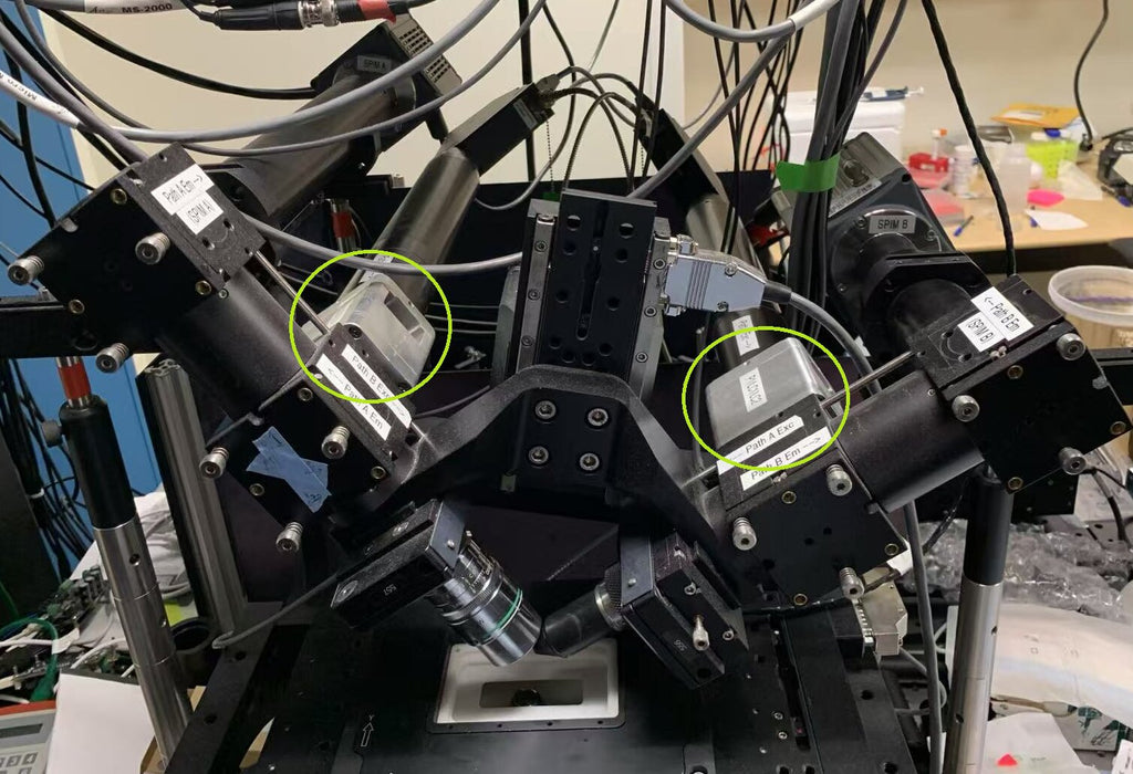 Advancing microscopy to capture protein orientation in 3D